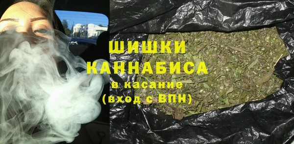 стафф Аркадак