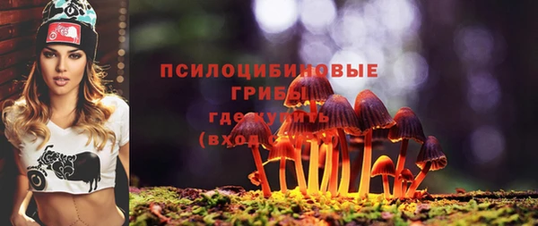 a pvp Алзамай