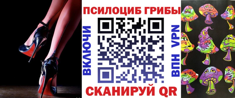Галлюциногенные грибы мицелий Купить где Торжок